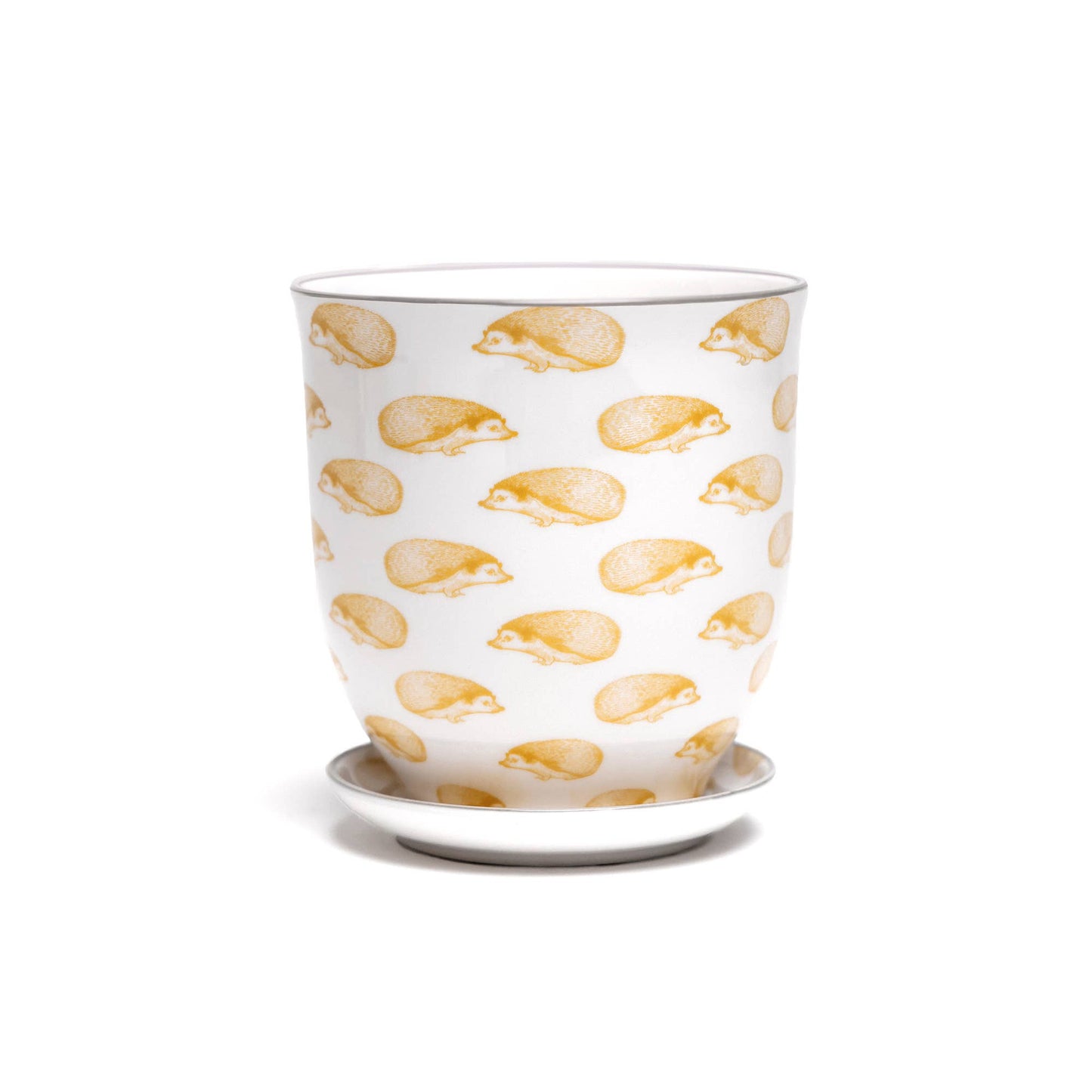 Chive - Liberte Indoor Porcelain Plant Pots: Monstera / 4.25"