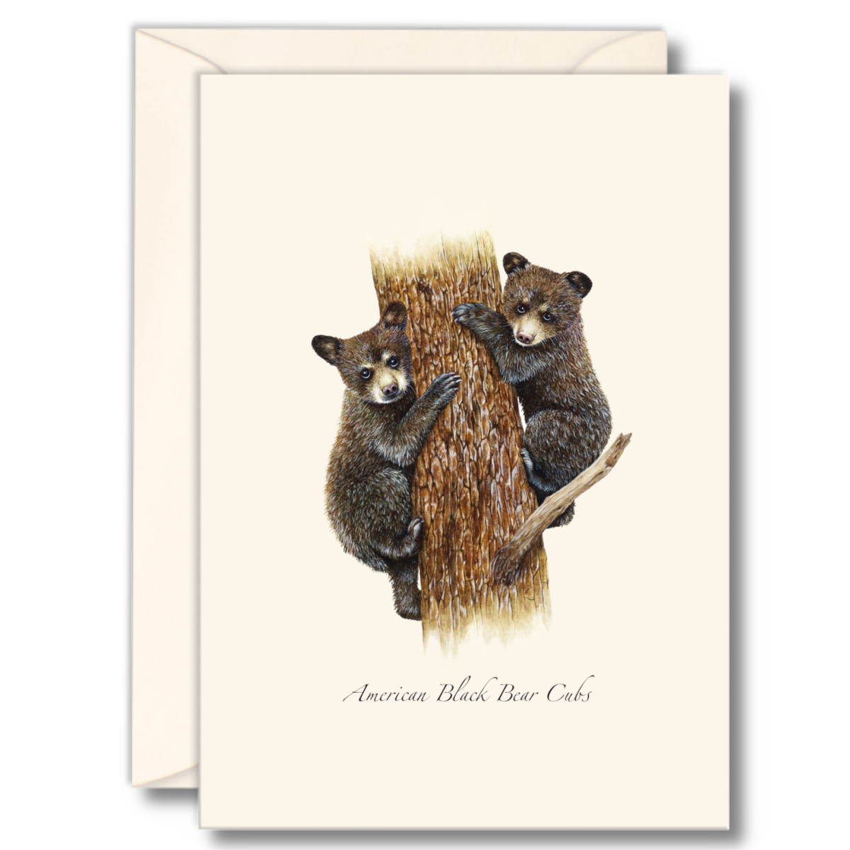 Earth Sky + Water - Black Bear Cubs Notecard Set