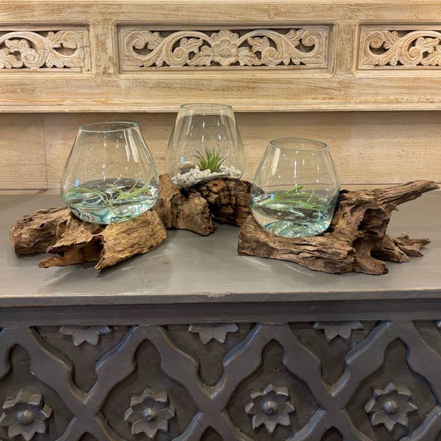 Asia West - X-Small Glass & Driftwood Terrarium (approx. 10"x 6" x 8"h)