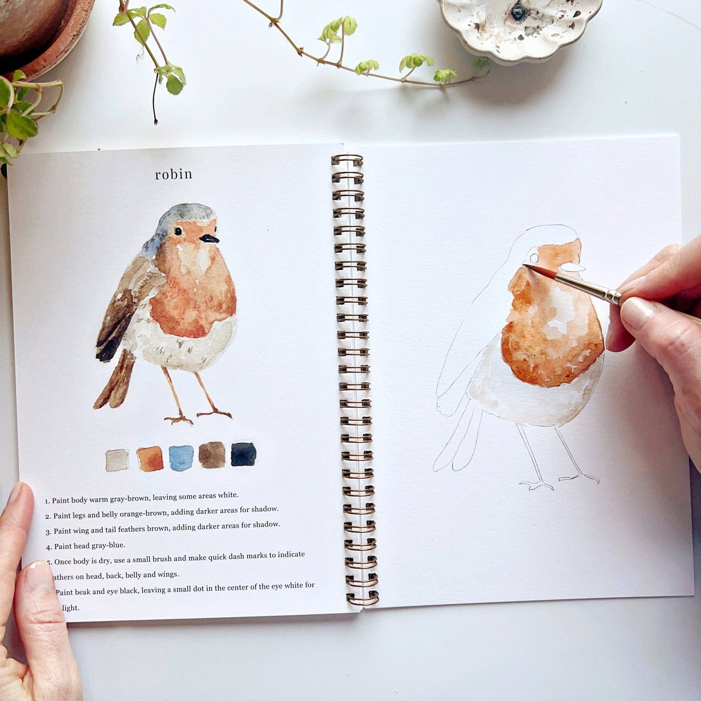 emily lex studio - Birds watercolor workbook presale