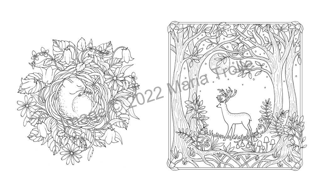 Gibbs Smith - Moon Valley Coloring Book