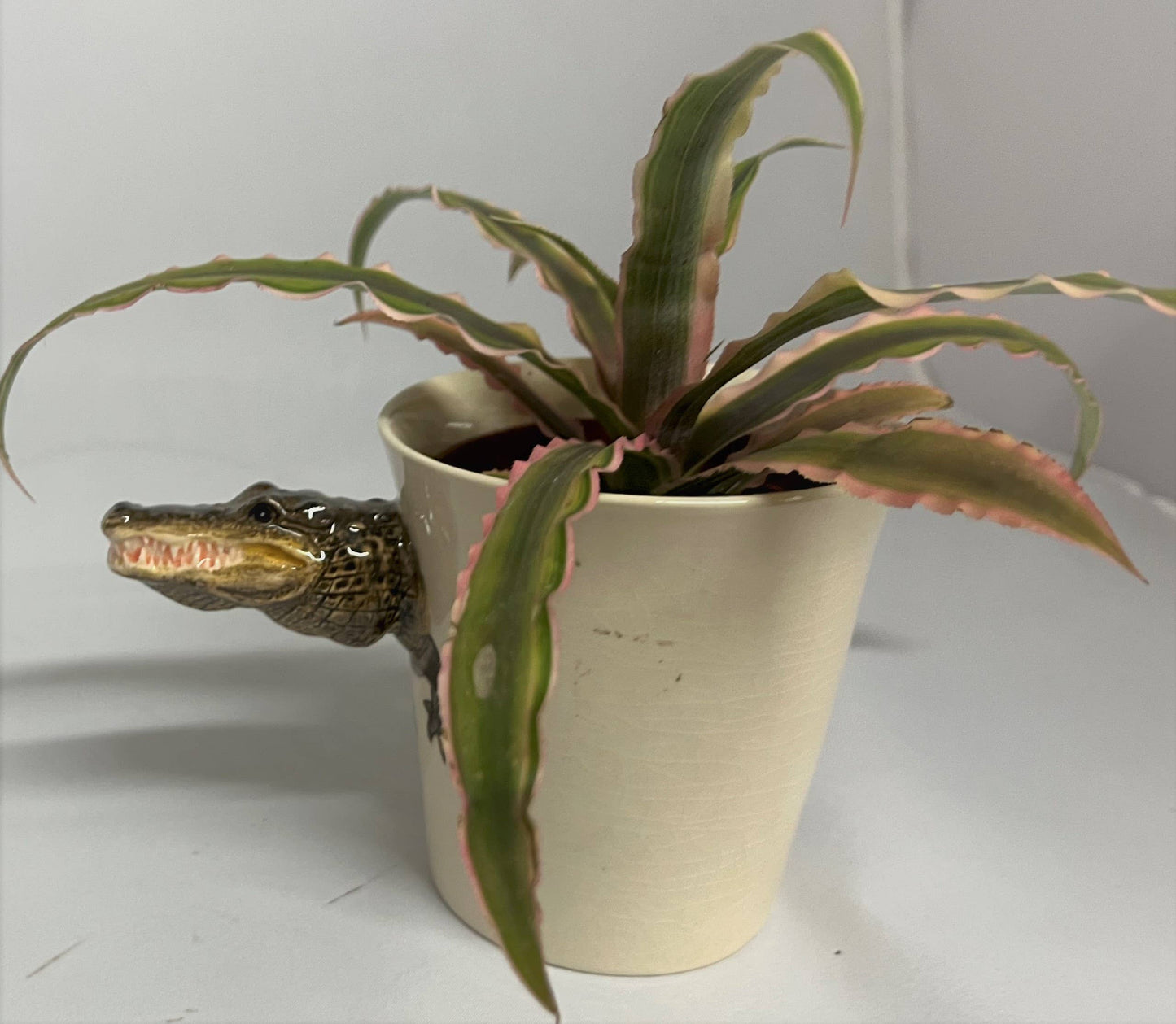 Sea Island Imports, Inc. - Mug, Alligator