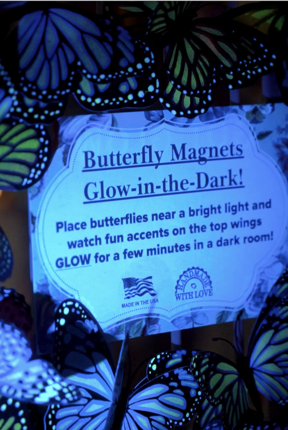 Flutter Gallery - Butterfly Magnet GLOW Bundle of 100!