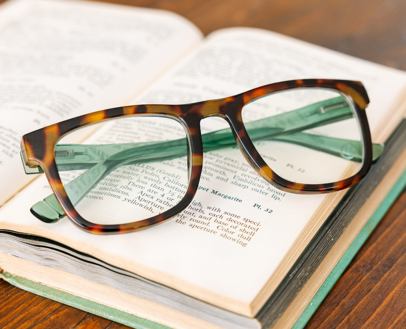 Peepers - Hall (Blue Light): Black/Cobalt Tortoise / Reading / 1.25