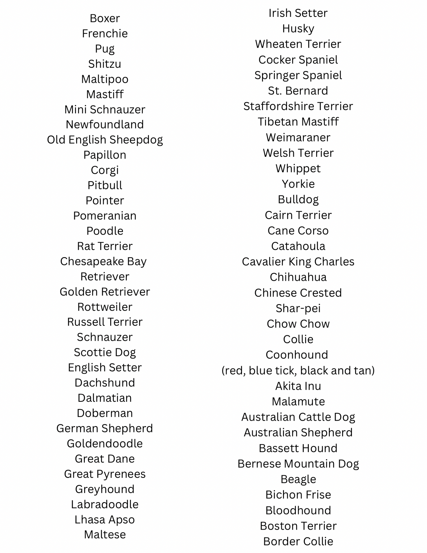 Boutique Unique - 🐶 Stick With Your Favorite Breed! 🐶: Chihuahua