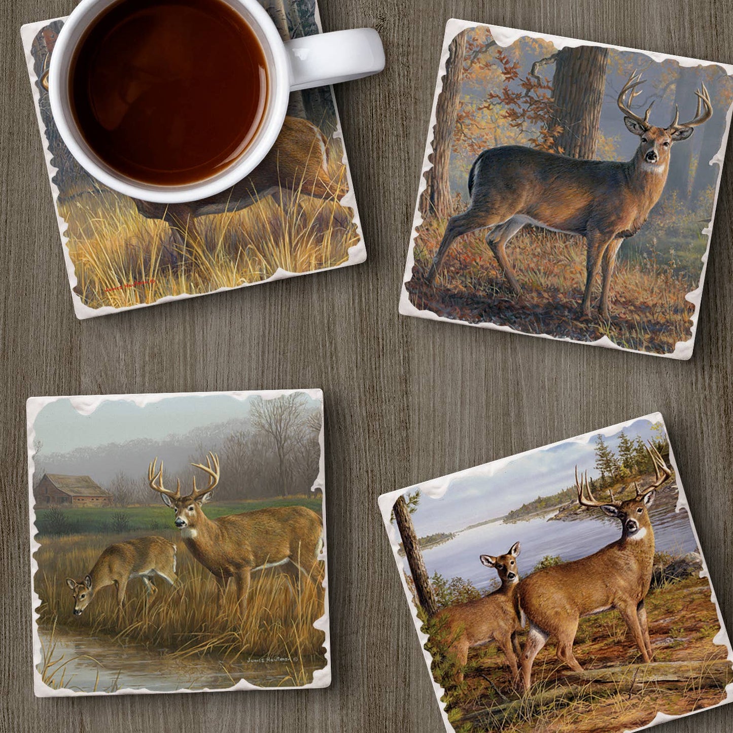 CounterArt/Highland Home/Thirstystone - Legends Assorted Image Tumbled Tile Coaster 4 Pack