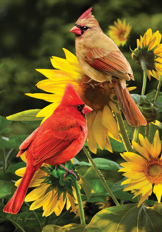 Custom Decor - Cardinal Couple-Flag by Greg & Co LLC - 12” x 18”