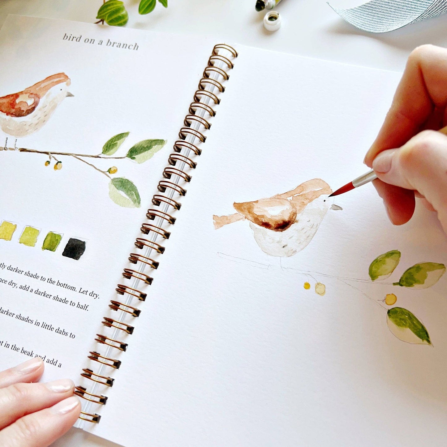 emily lex studio - Animals watercolor workbook presale