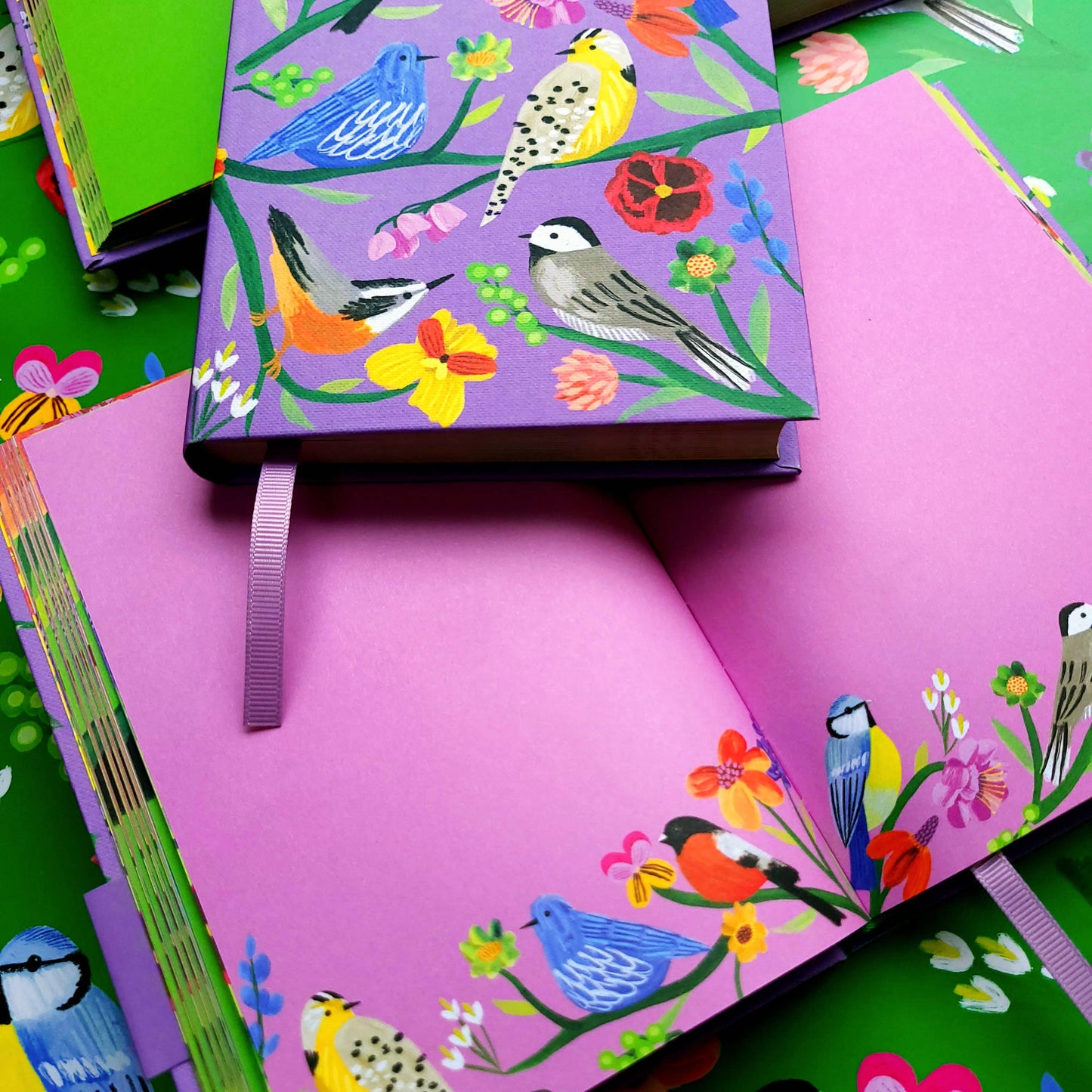 Roger La Borde - Birdhaven Illustrated Journal  - AS 072