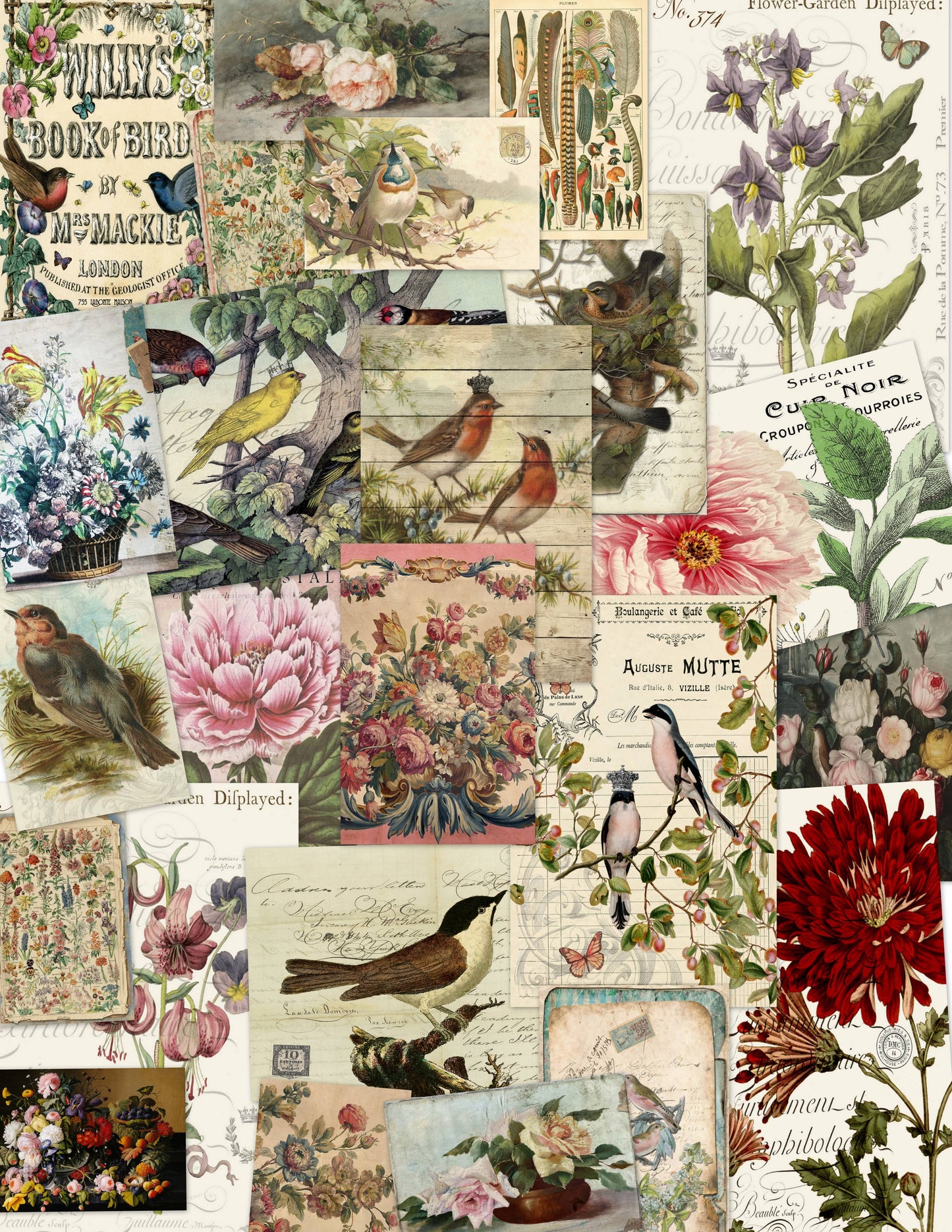 Monahan Papers - Assorted 11" x 17"   50 Piece Birds, Nests & Florals