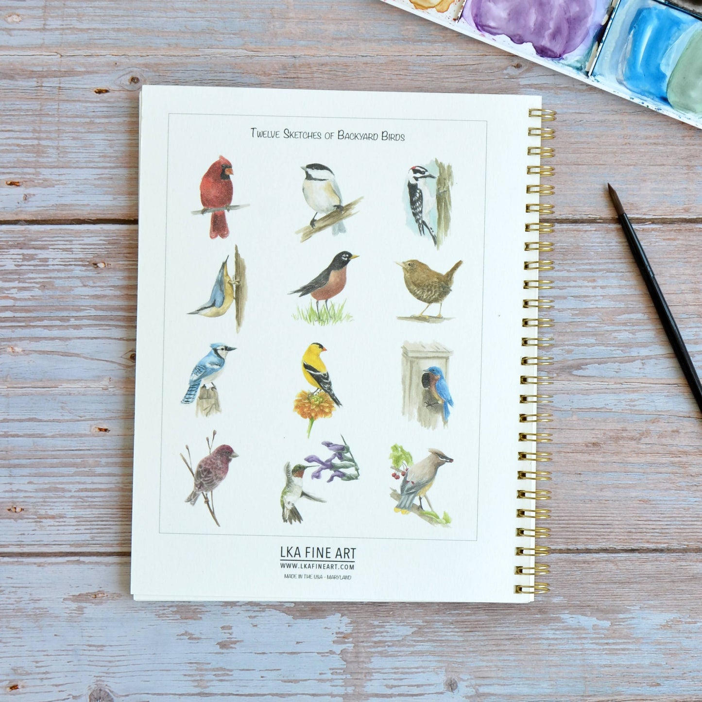 LKA Fine Art - Watercolor workbook, Backyard Birds Watercoloring book