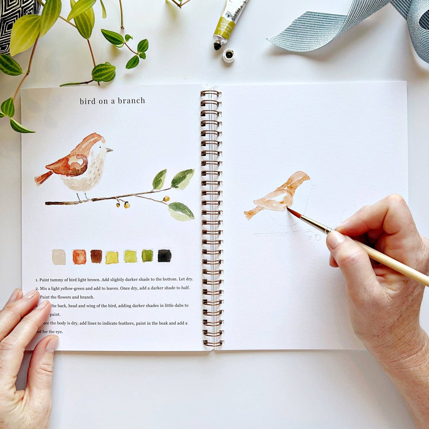 emily lex studio - Animals watercolor workbook presale