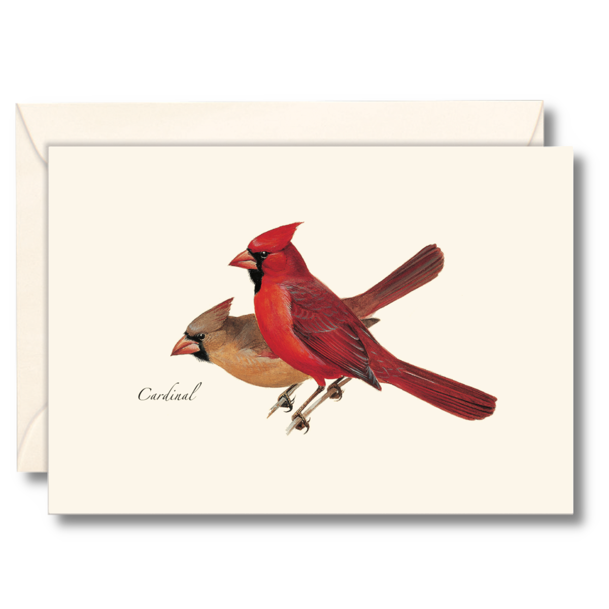 Earth Sky + Water - Cardinal Notecard Set, Illustrated by Roger Tory Peterson
