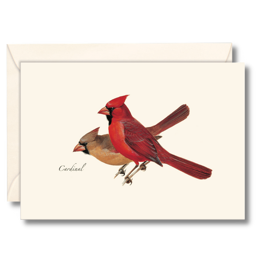 Earth Sky + Water - Cardinal Notecard Set, Illustrated by Roger Tory Peterson