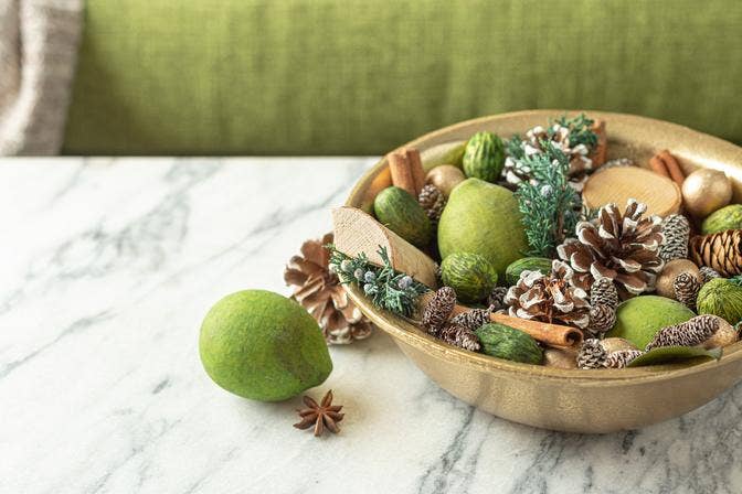 Andaluca - Evergreen Pine Potpourri