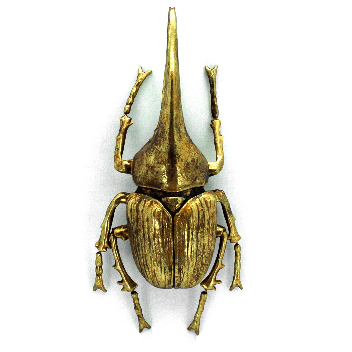 Modern World by Contrast Inc. - Gold Leafed Hercules Beetle Wall Decor