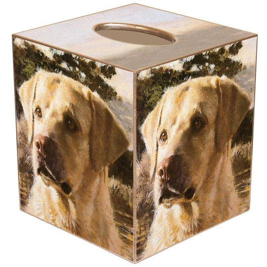 Marye-Kelley - Yellow Lab Dog Tissue Box Cover: Paper Mache