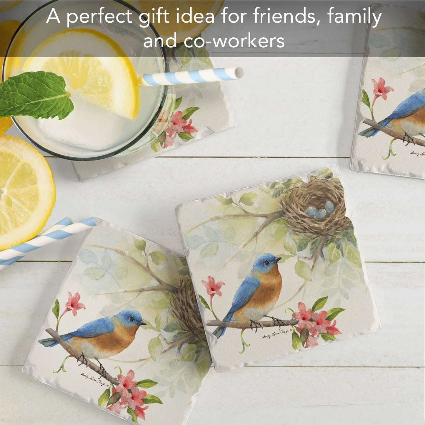 CounterArt/Highland Home/Thirstystone - Birdsong-Bluebird Absorbent Tumbled Tile Coaster 4pk