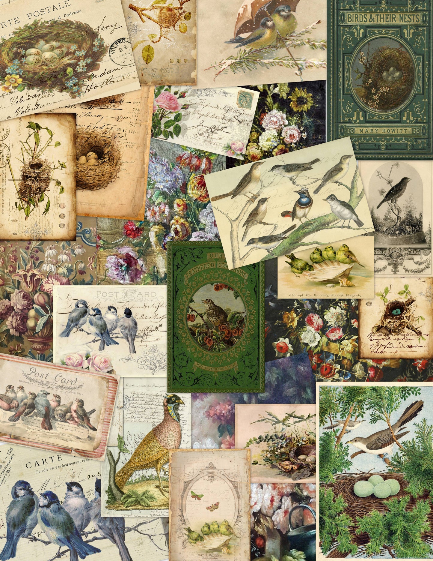 Monahan Papers - Assorted 11" x 17"   50 Piece Birds, Nests & Florals
