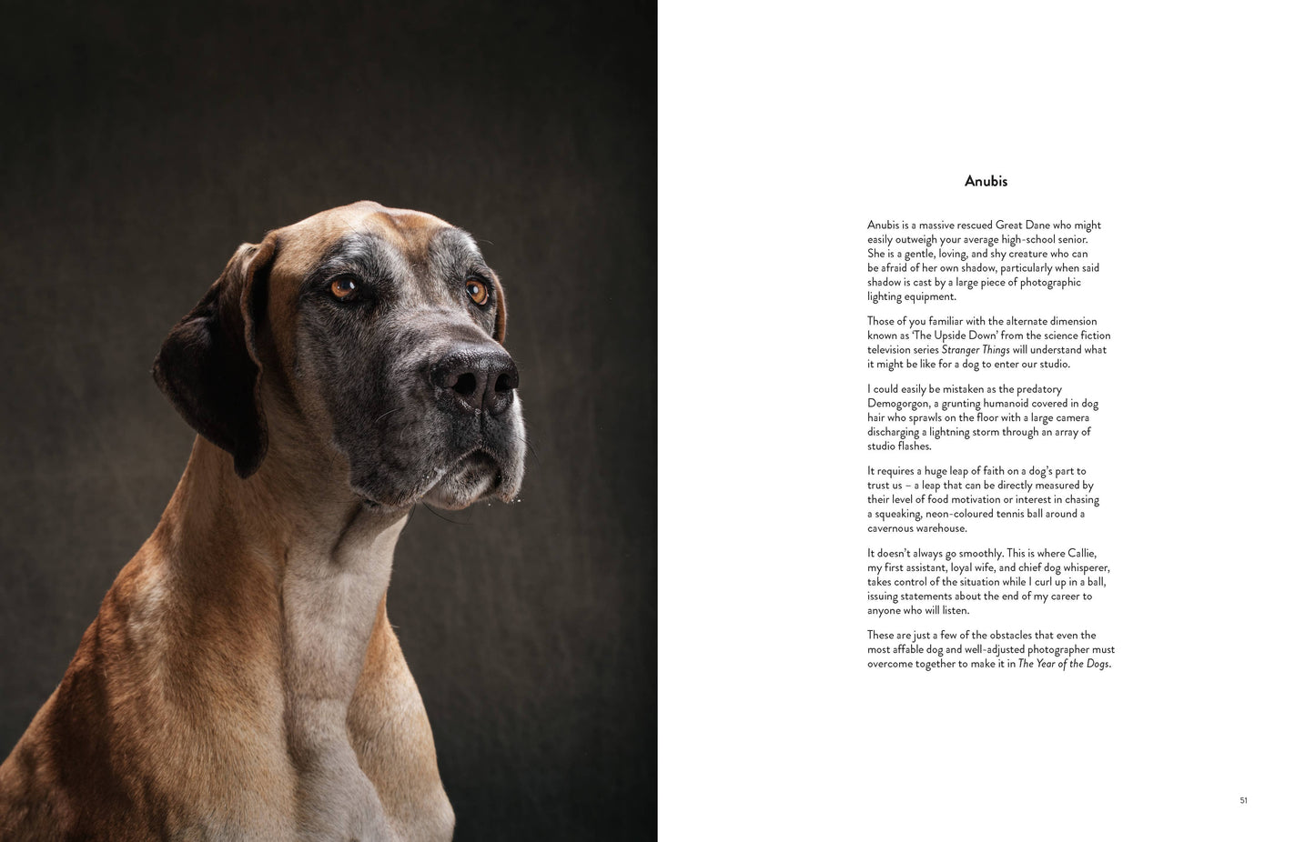 Chronicle Books - Year of the Dogs