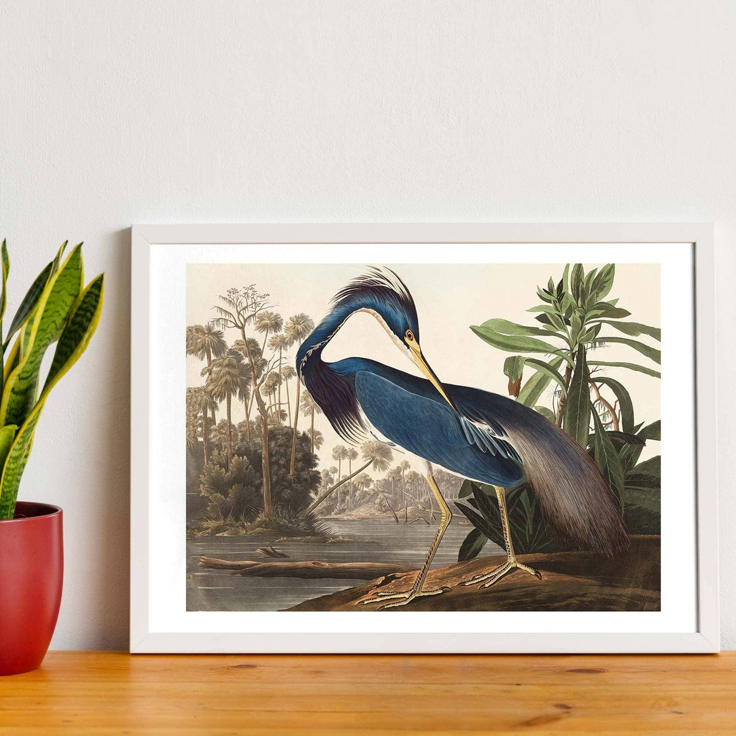 Ink & Drop - Louisiana Heron print: 11 ¾ x 15 ¾ in | 30x40 cm / Matte