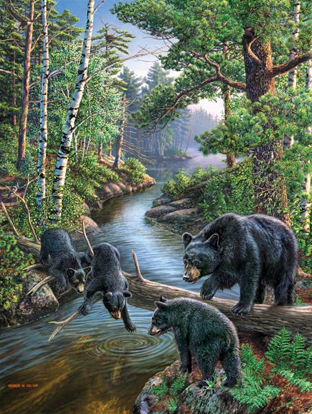 SunsOut - 0501 Bear Pause 500 pc Puzzle