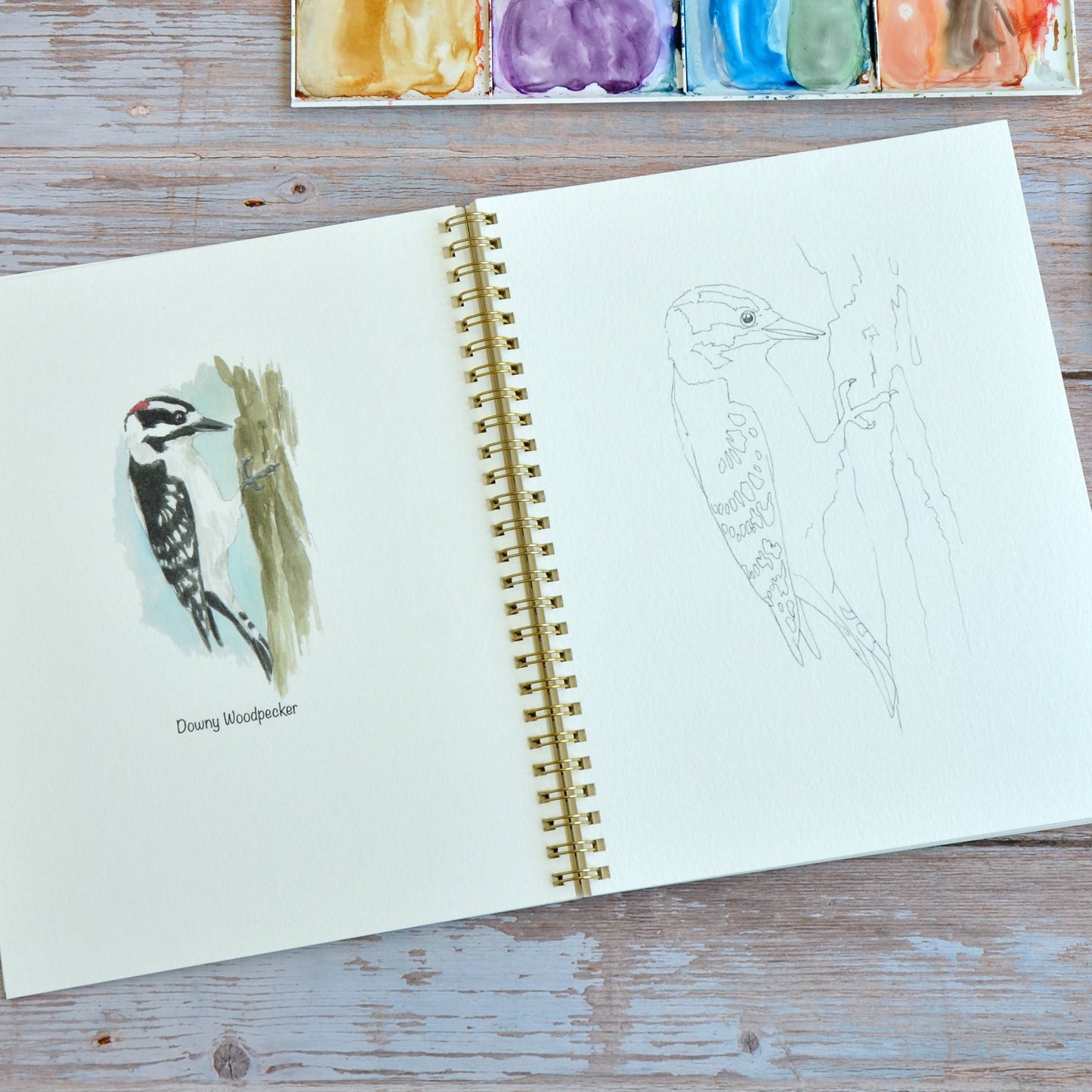 LKA Fine Art - Watercolor workbook, Backyard Birds Watercoloring book