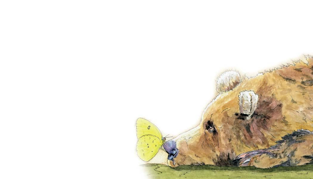 Forever Caroline LLC - Bear & Butterfly Tiny Cards | Pack of 60 "Love Notes"