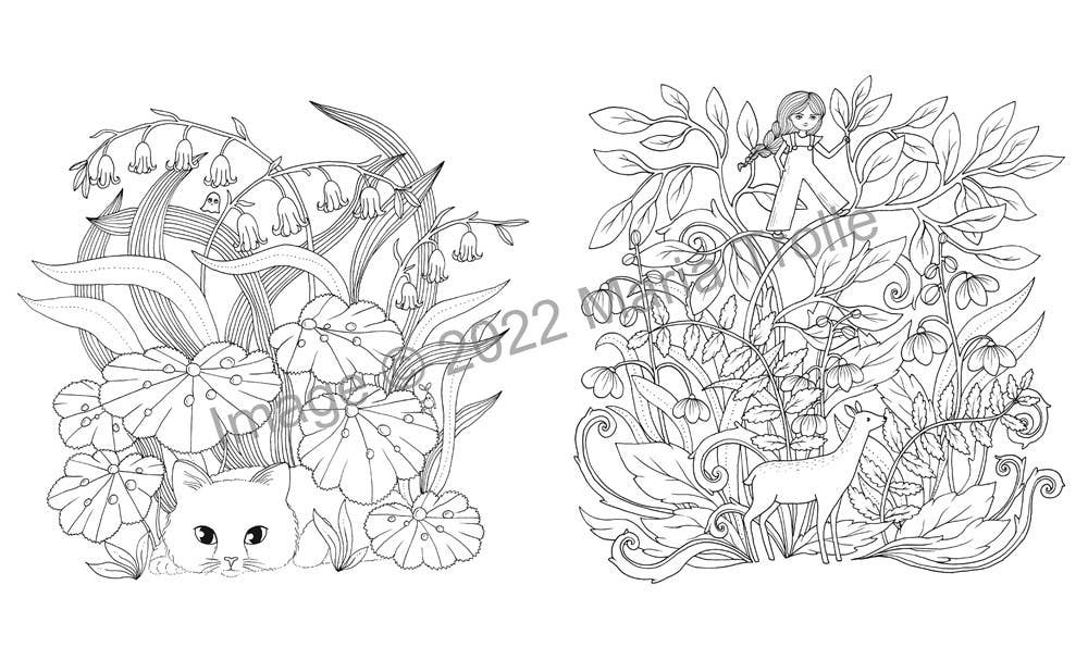 Gibbs Smith - Moon Valley Coloring Book