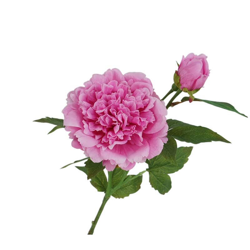 Angel Isabella - 25.5"- Real Touch Peony Stem-2 Blooms: Soft Pink