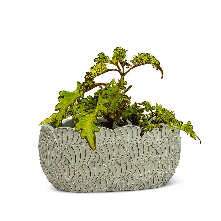 Abbott - Sm Oval Scallop Planter-Grn-5x8" L