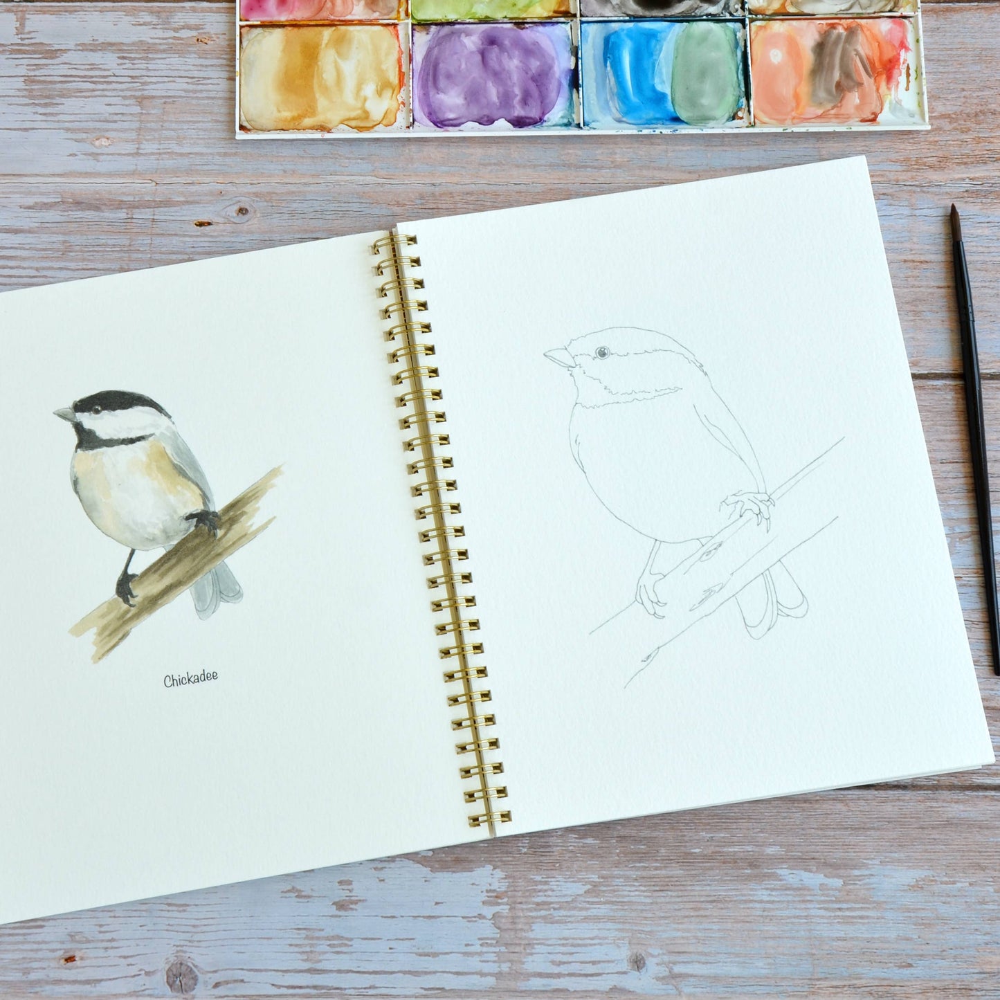 LKA Fine Art - Watercolor workbook, Backyard Birds Watercoloring book
