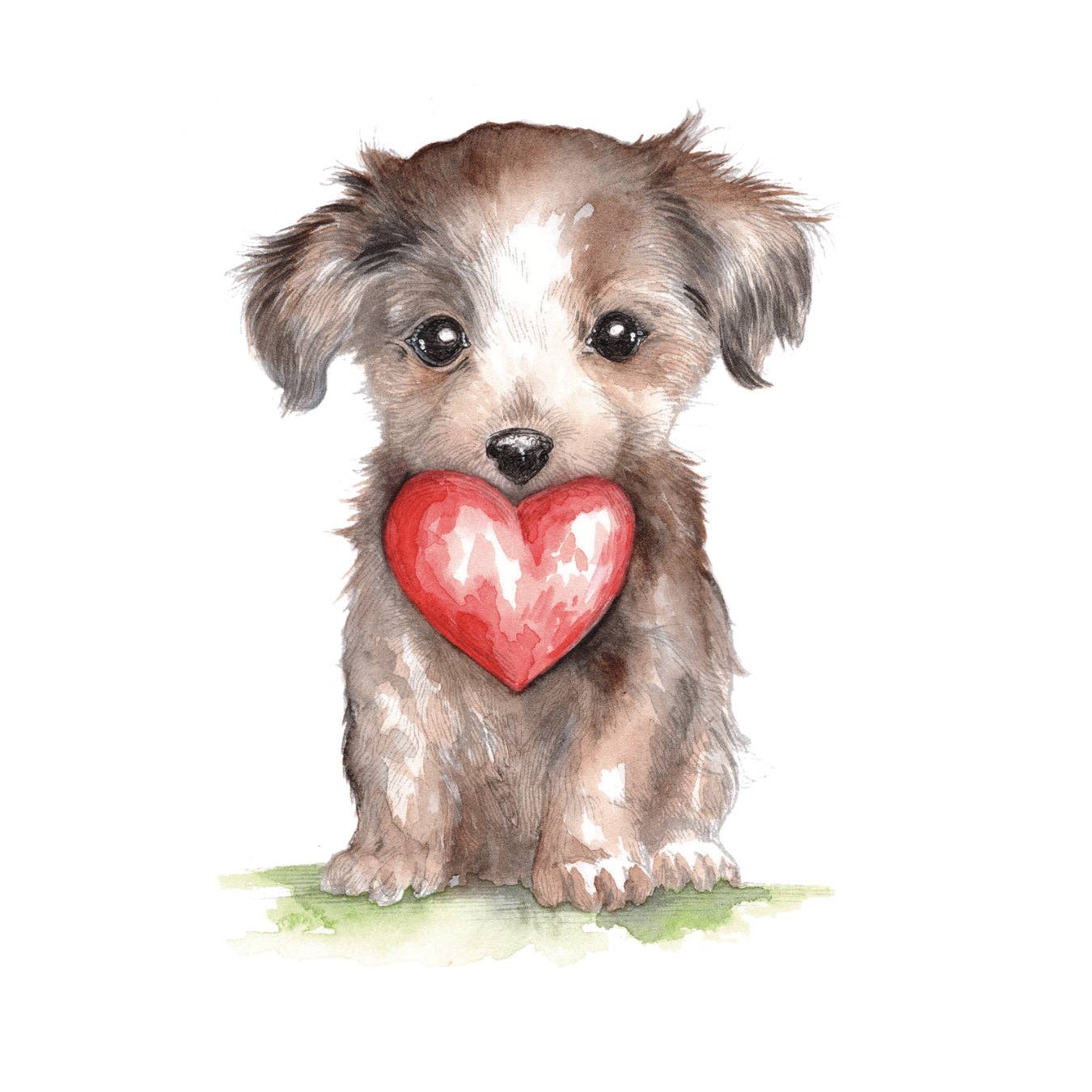 Willow Wolfe USA - So Much Love Watercolor Workbook By Willow Wolfe