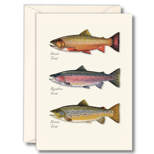 Earth Sky + Water - Trout Trio