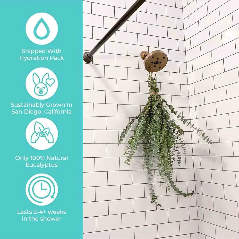 Self-Care Shower - Fresh Eucalyptus Bundle | For Shower/Vase | SAN DIEGO GROWN: Large (🎉 Bestseller)