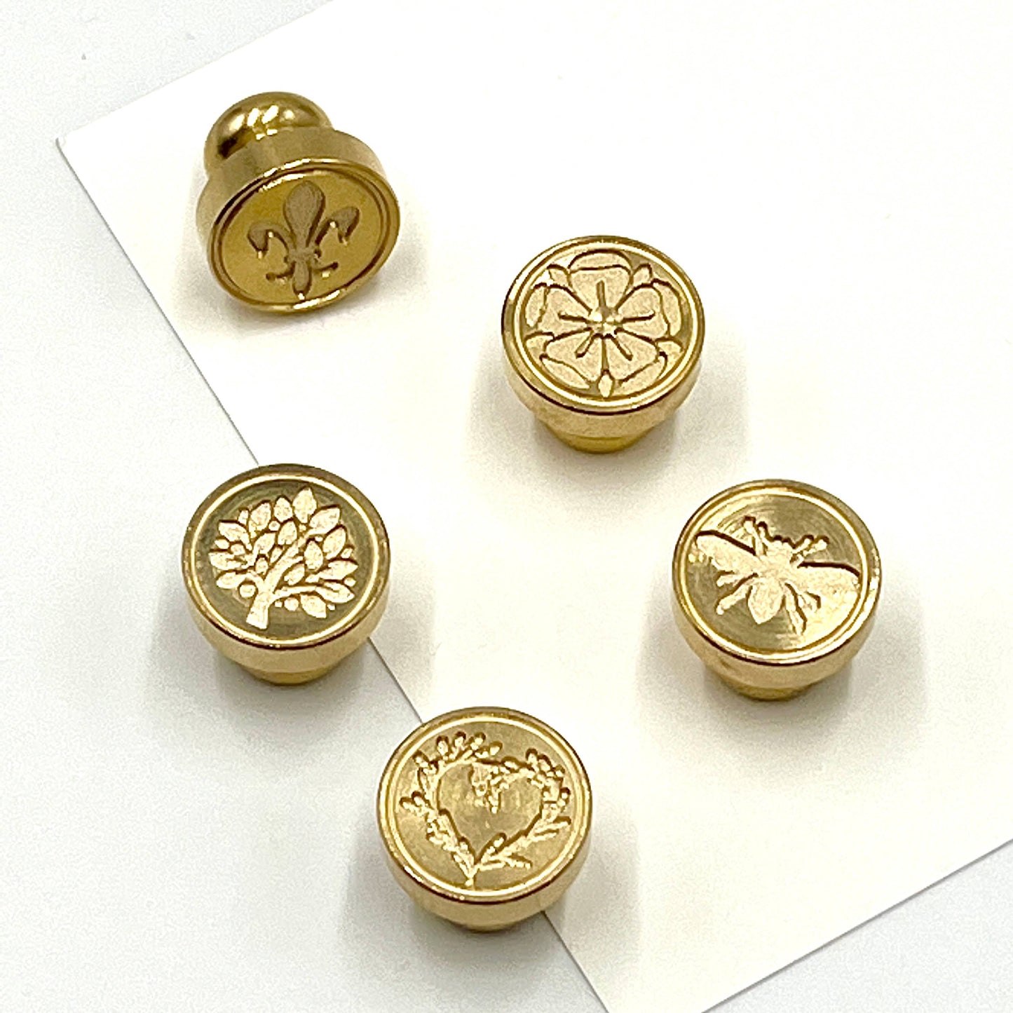 Freund Mayer & Co. - Empty Brass Die Display Unit
