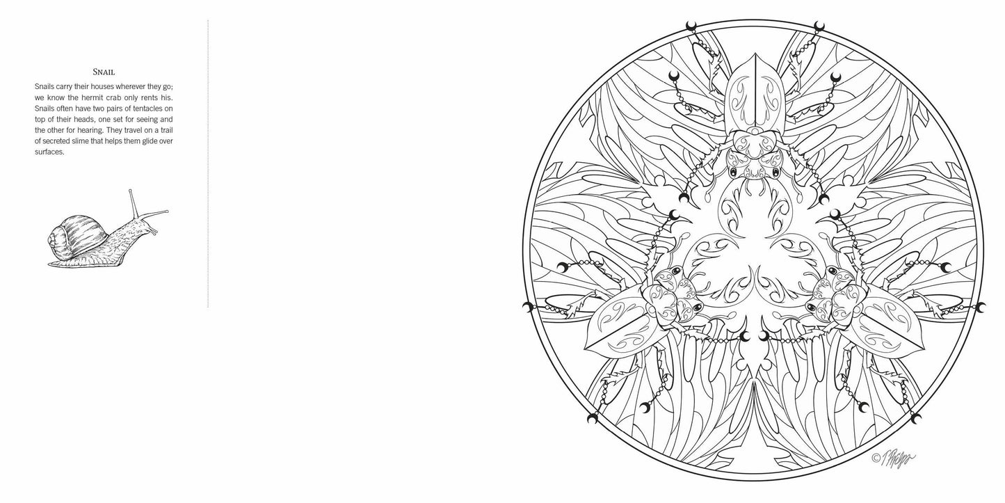 Schiffer Publishing - Garden Life: Nature Mandala Coloring Book