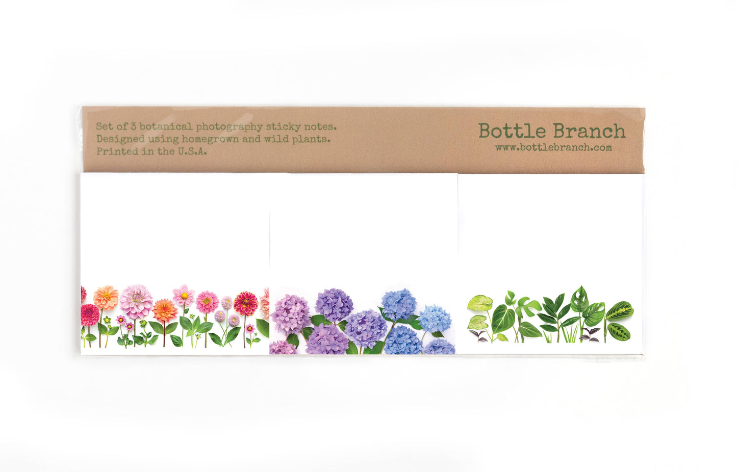 Bottle Branch - Sticky notes set - Classics