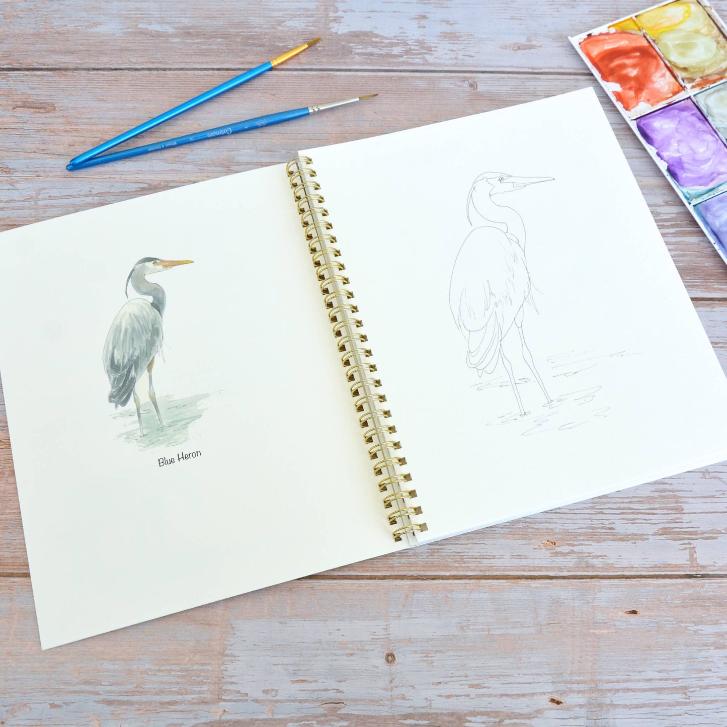LKA Fine Art - Watercolor workbook, Water Birds Themed Watercoloring book