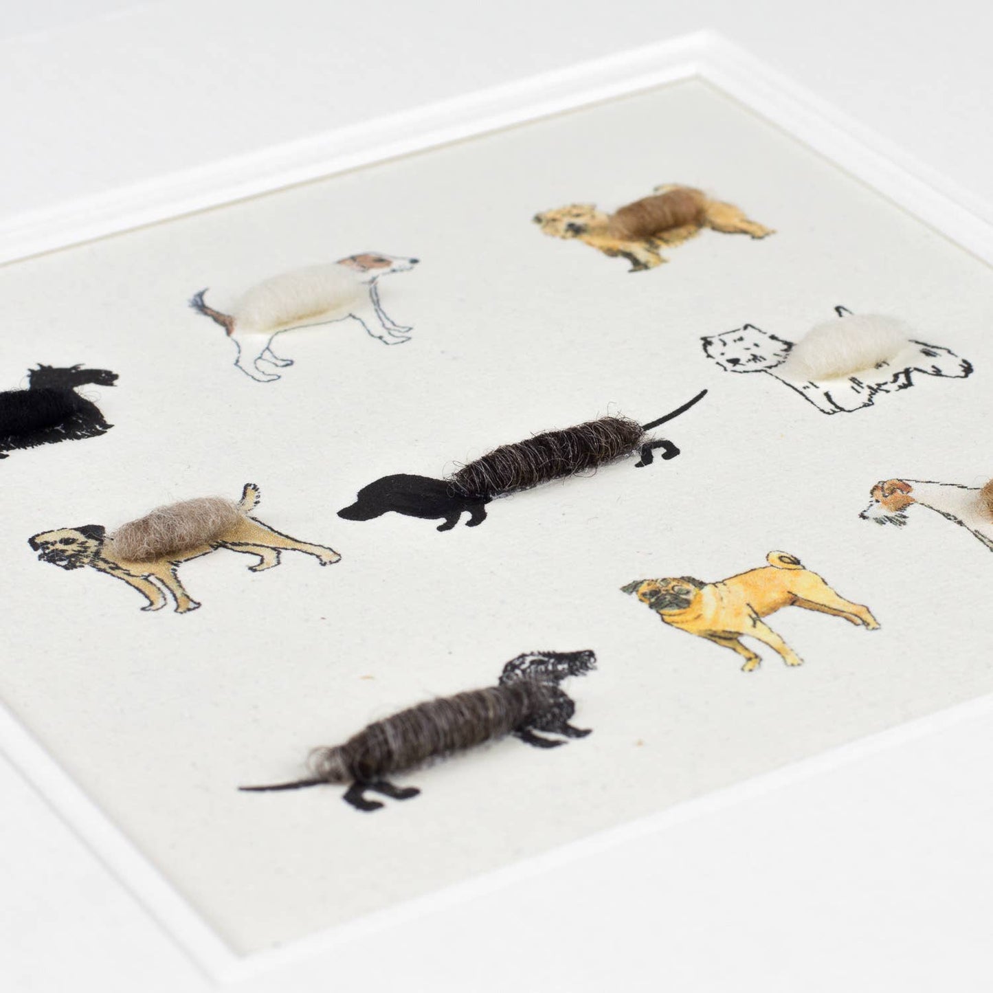 Papersheep UK - Assorted Dogs Art Print with Wool Finish | Square Art Print