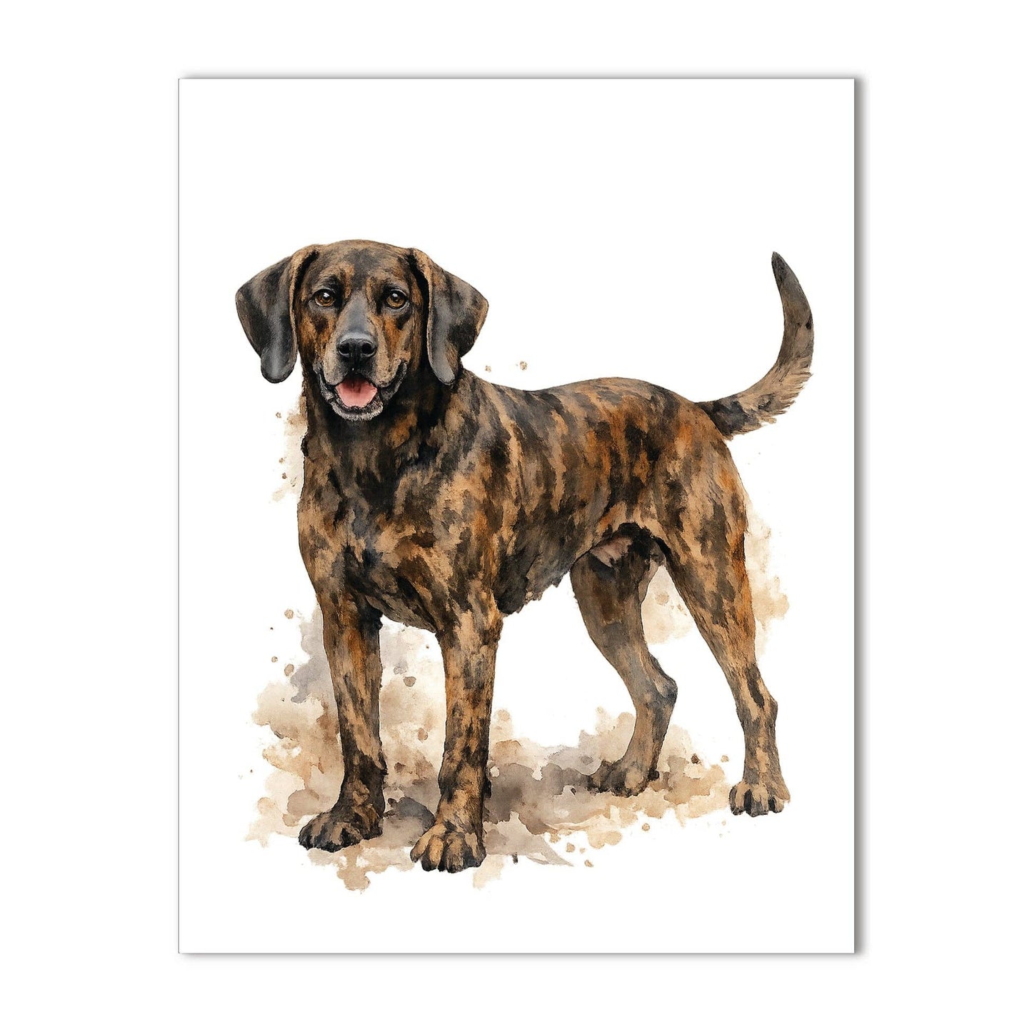 Bourbon & Bacon - Tennessee Plott Hound Note Cards Box Set of 10 - A2 Size