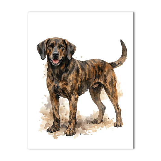 Bourbon & Bacon - Tennessee Plott Hound Note Cards Box Set of 10 - A2 Size