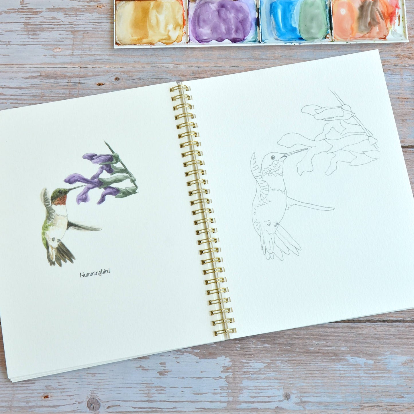 LKA Fine Art - Watercolor workbook, Backyard Birds Watercoloring book