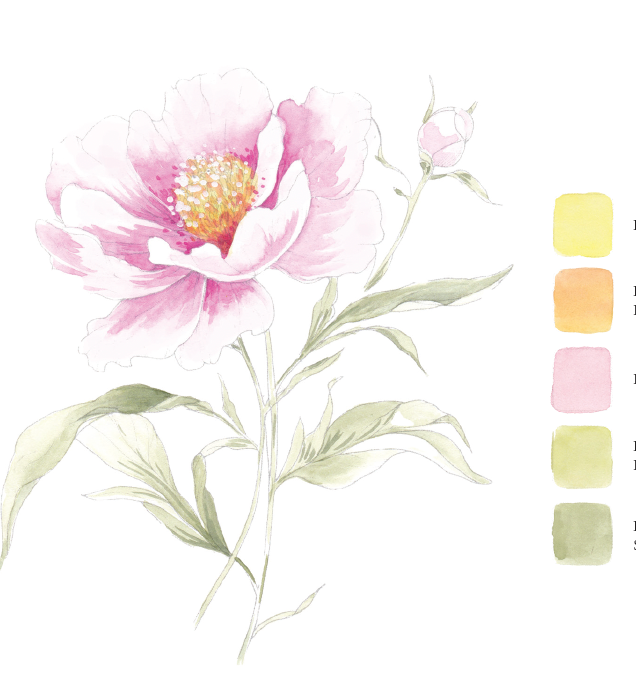 Willow Wolfe USA - Blooms & Bouquets Watercolor Workbook by Willow Wolfe