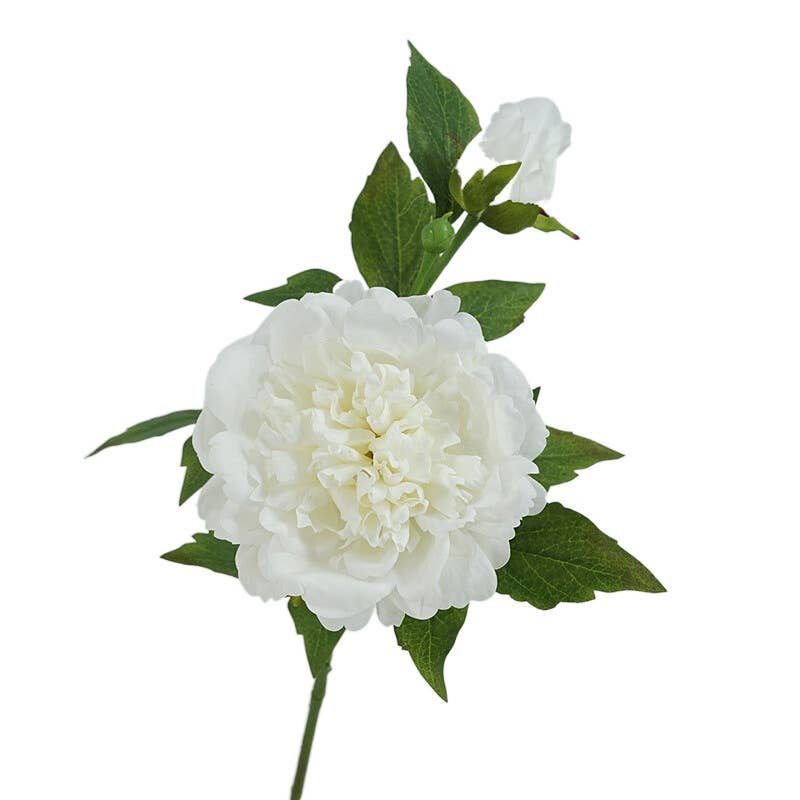 Angel Isabella - 25.5"- Real Touch Peony Stem-2 Blooms: White