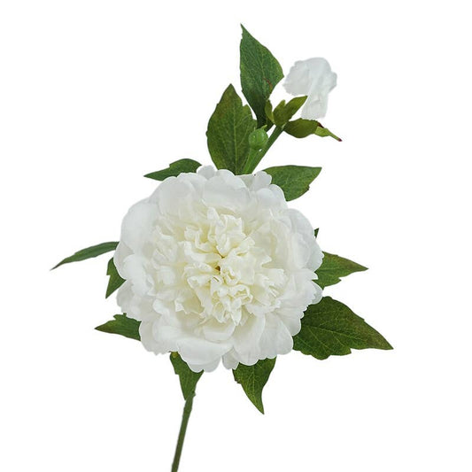 Angel Isabella - 25.5"- Real Touch Peony Stem-2 Blooms: White