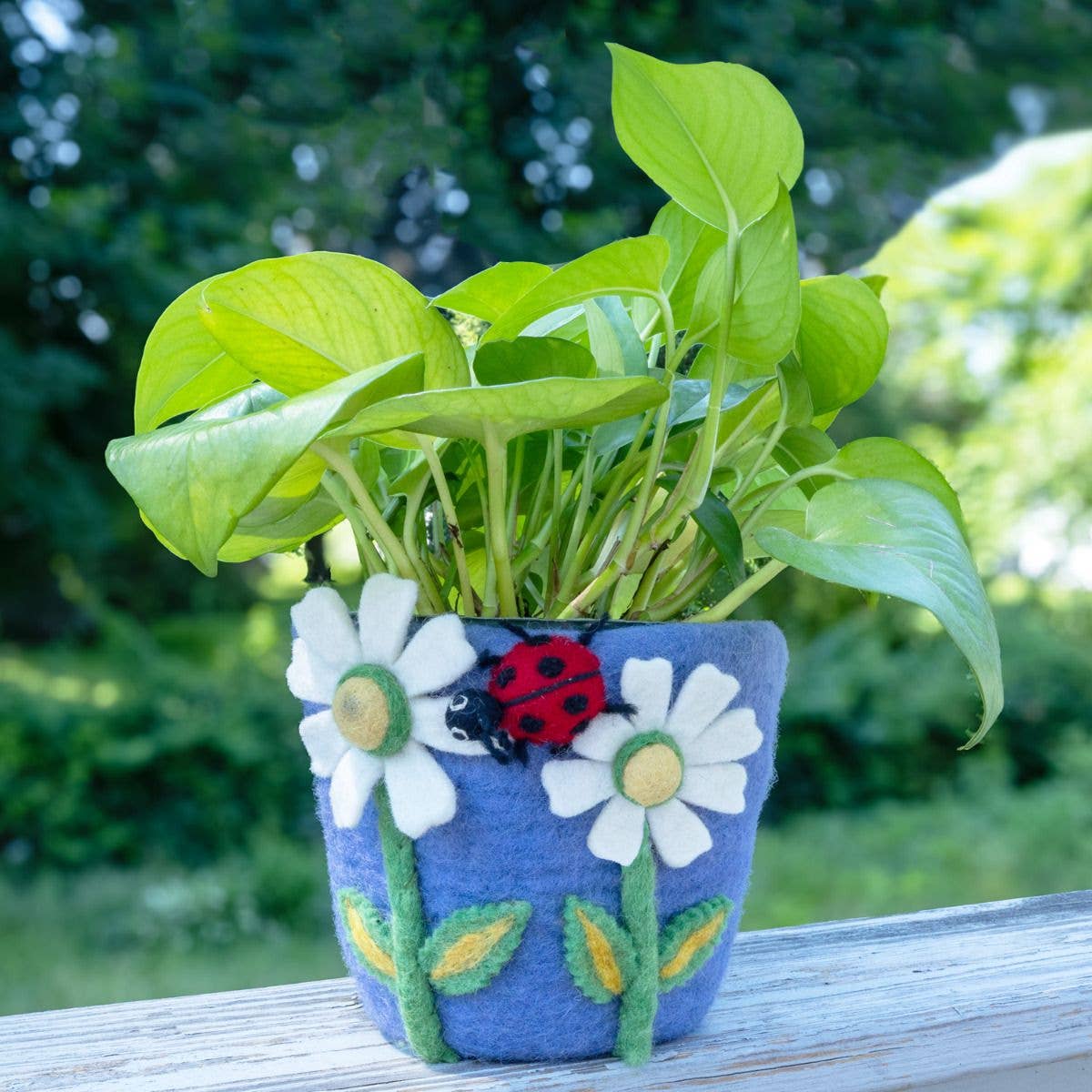 dZi Handmade - Daisy Felt Pot