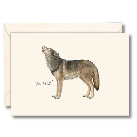 Earth Sky + Water - Gray Wolf Notecard Set, 8 Cards & Envelopes