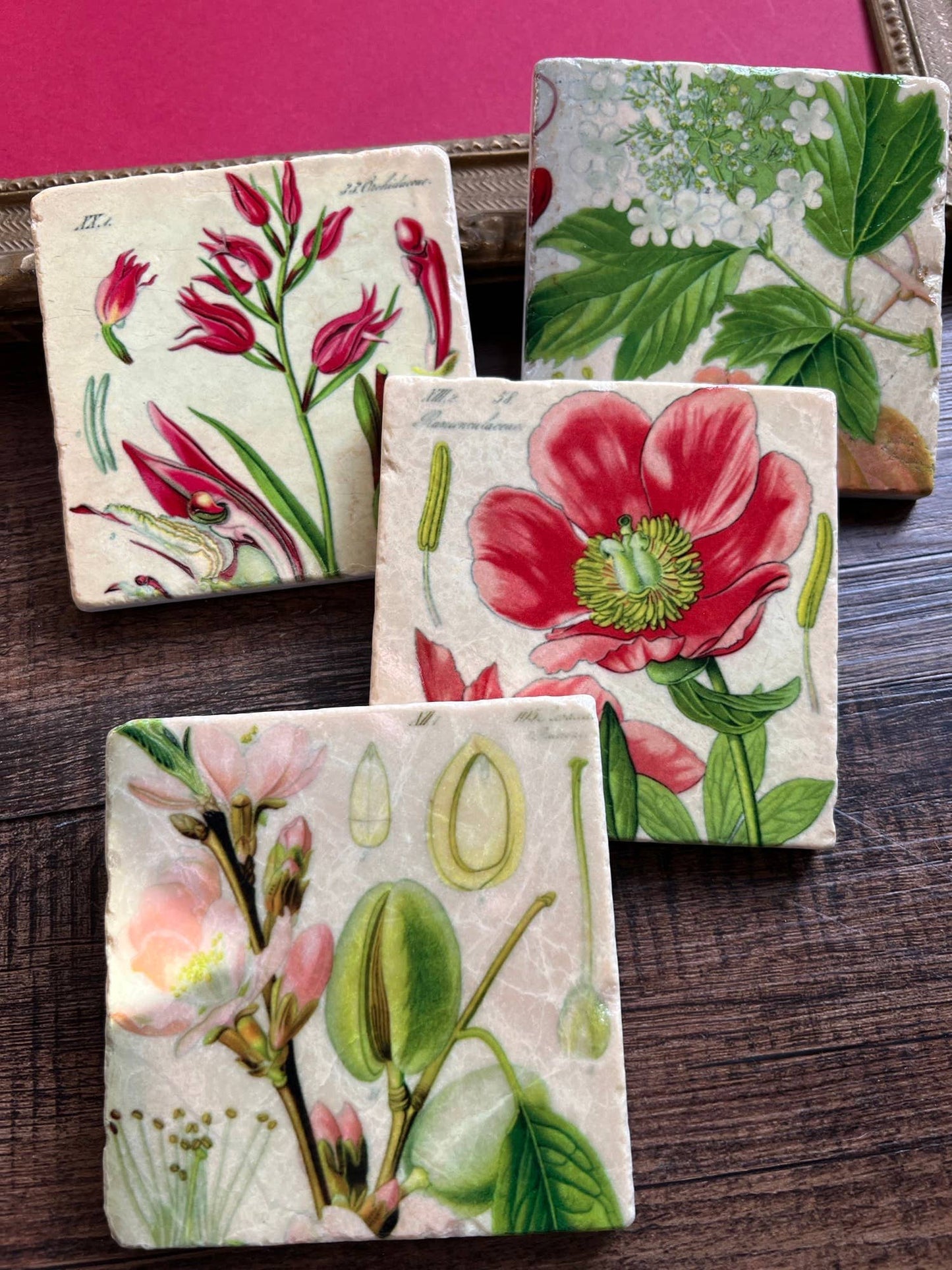 The Painted Lily - Pretty Pink Botanicals stone coasters - case of 4