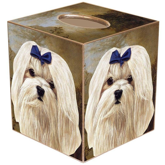 Marye-Kelley - Maltese Tissue Box Cover: Paper Mache